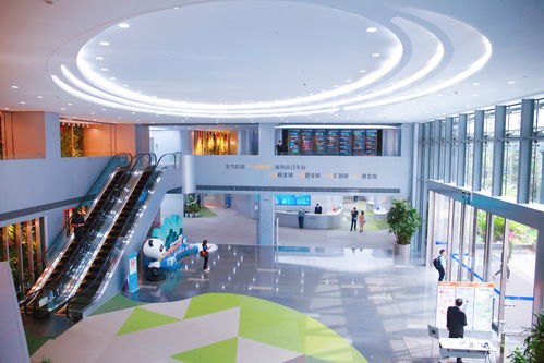 6.0版来了 上海以“加减法”优化科技服务营商环境